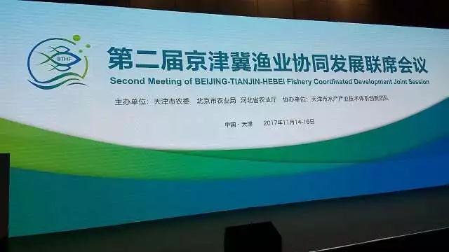 深刻領(lǐng)會十九大報(bào)告精神